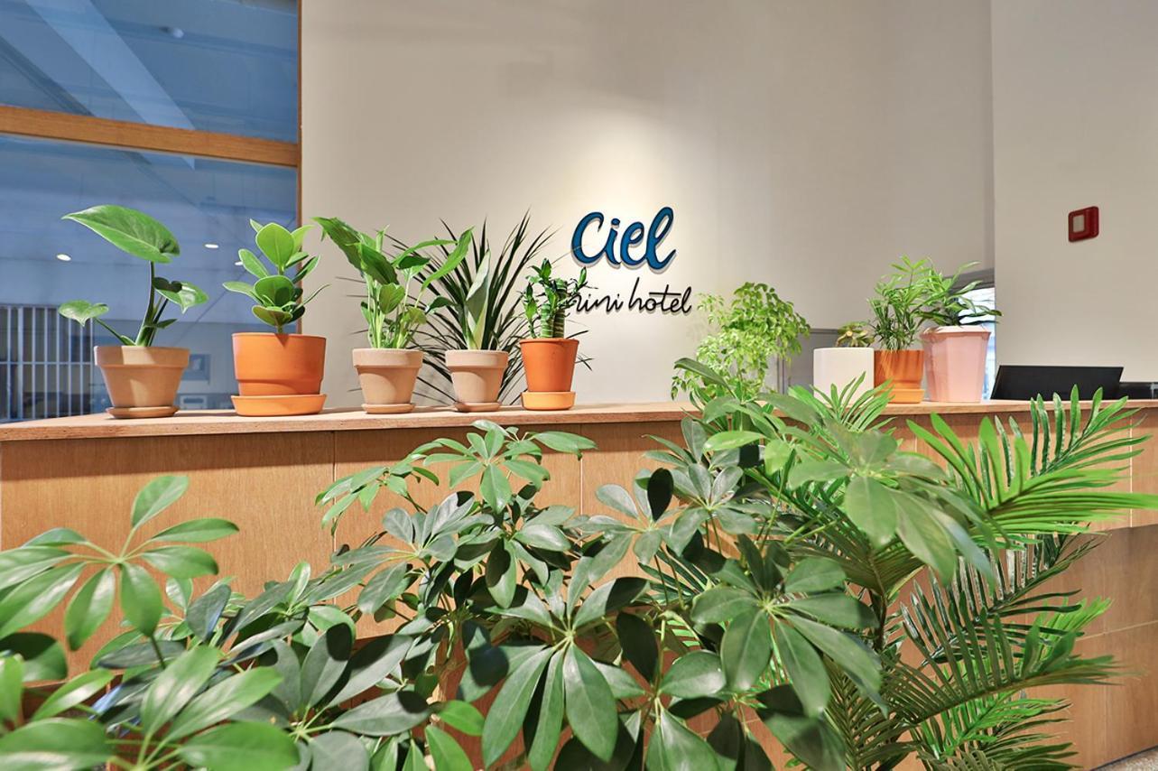 Ciel Mini Hotel Γκιονγκγού Εξωτερικό φωτογραφία
